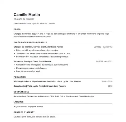Modèle de CV à remplir : feuille d'exemple